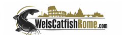 WelsCatfishRome